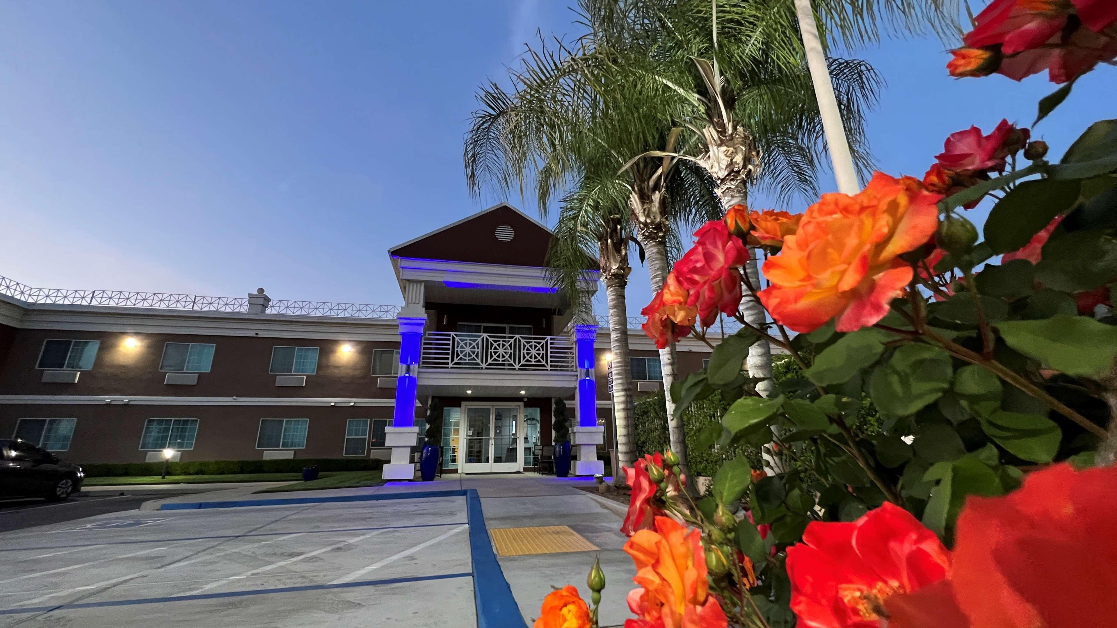 Best Western Americana Dinuba Extérieur photo